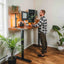 Dual Monitor Arm - EFFYDESK